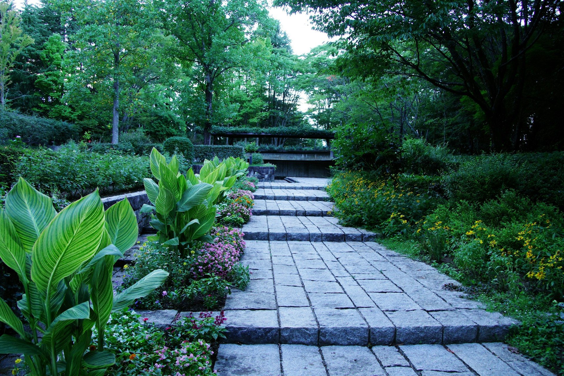 Commercial landscaping DFW