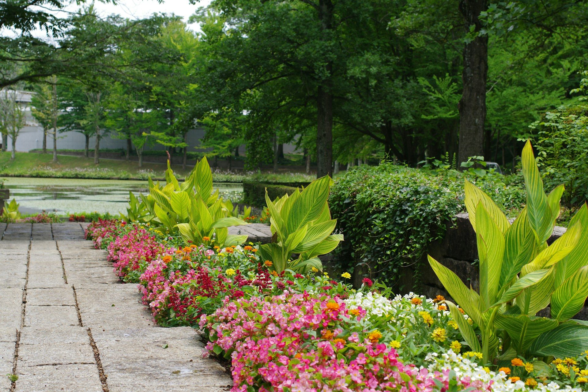 Commercial Landscaping Services Dallas Fort Worth TX