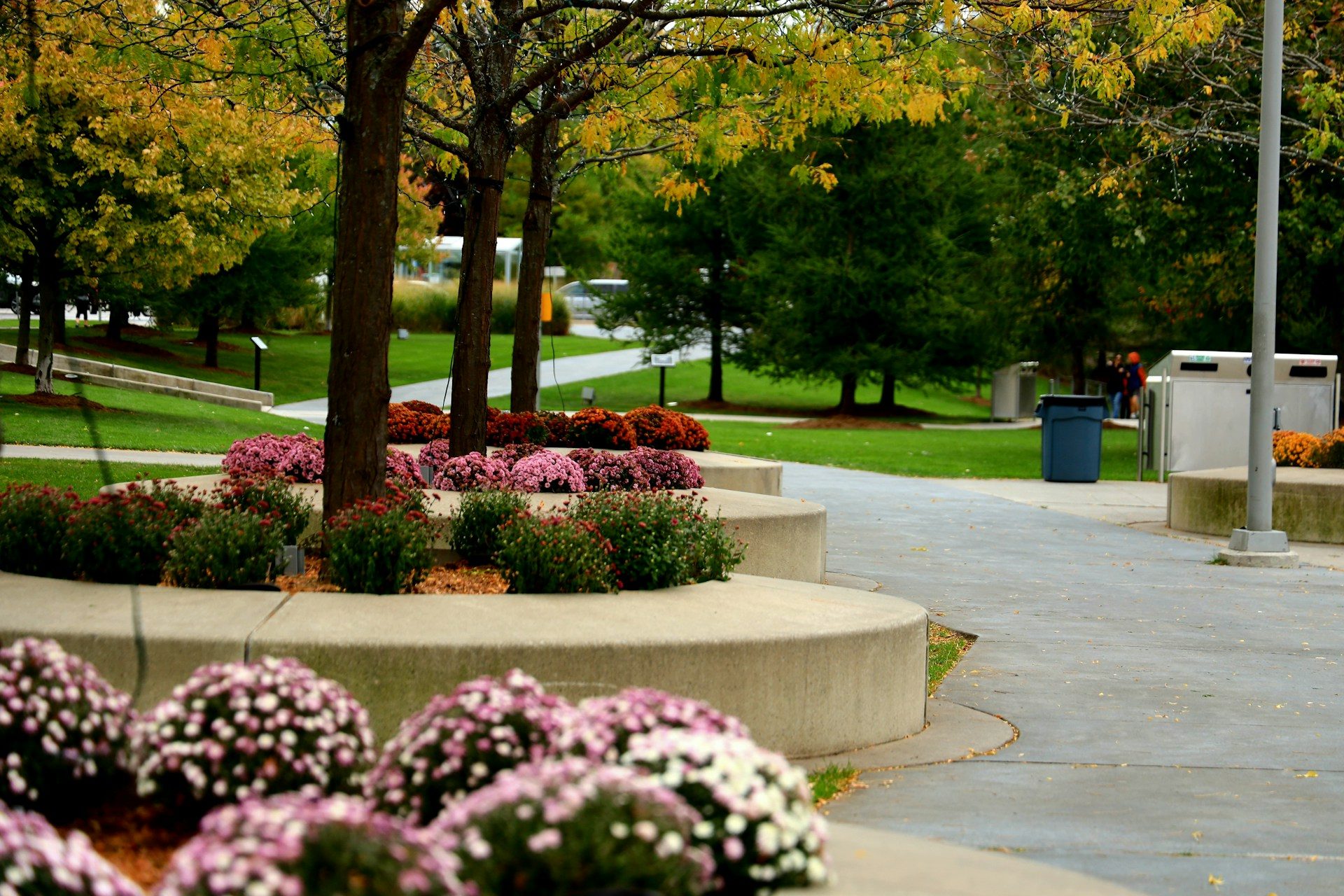 Commercial landscape Fort Worth