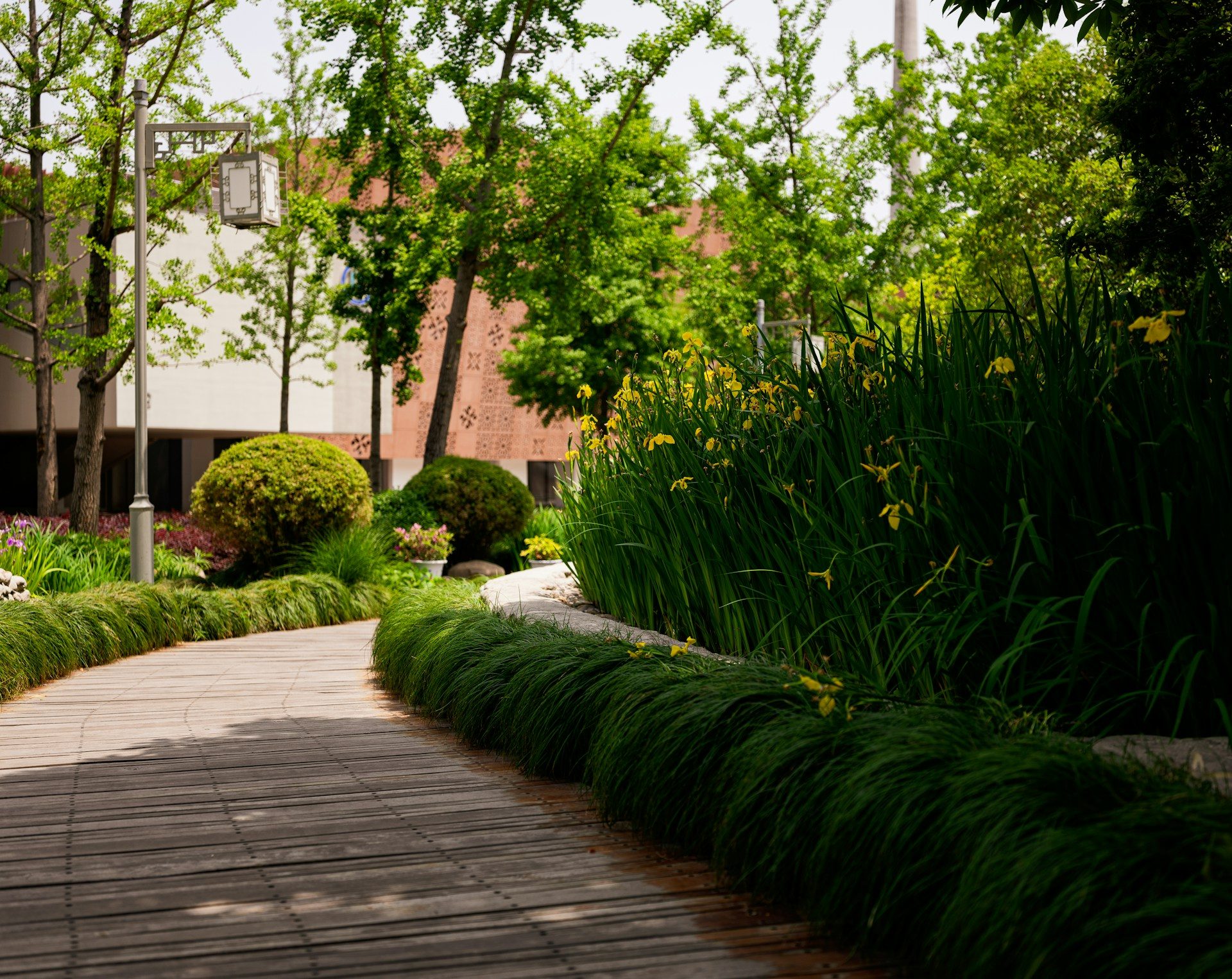 Commercial landscape Allen TX