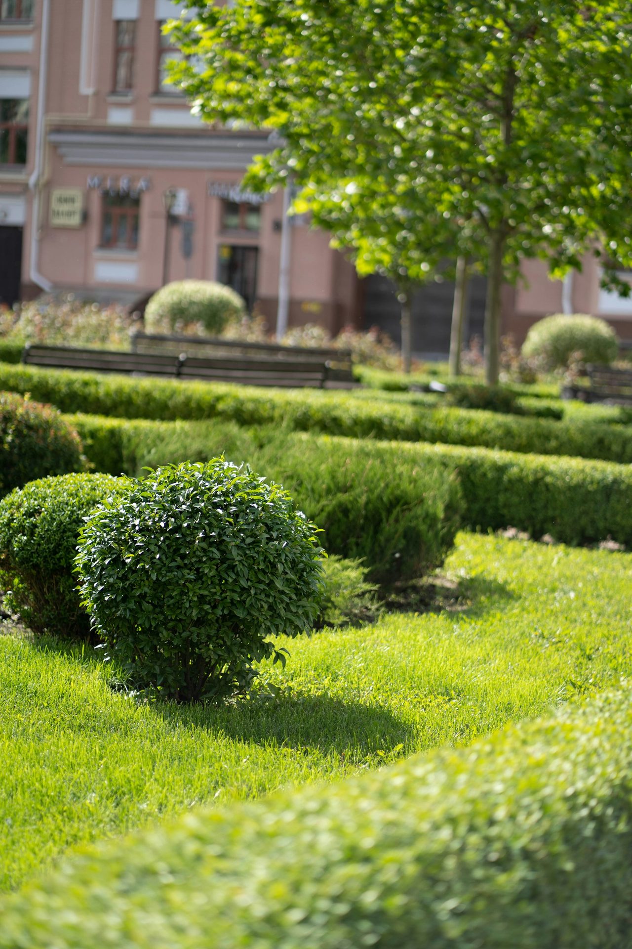 Quality commercial landscape maintenance DFW