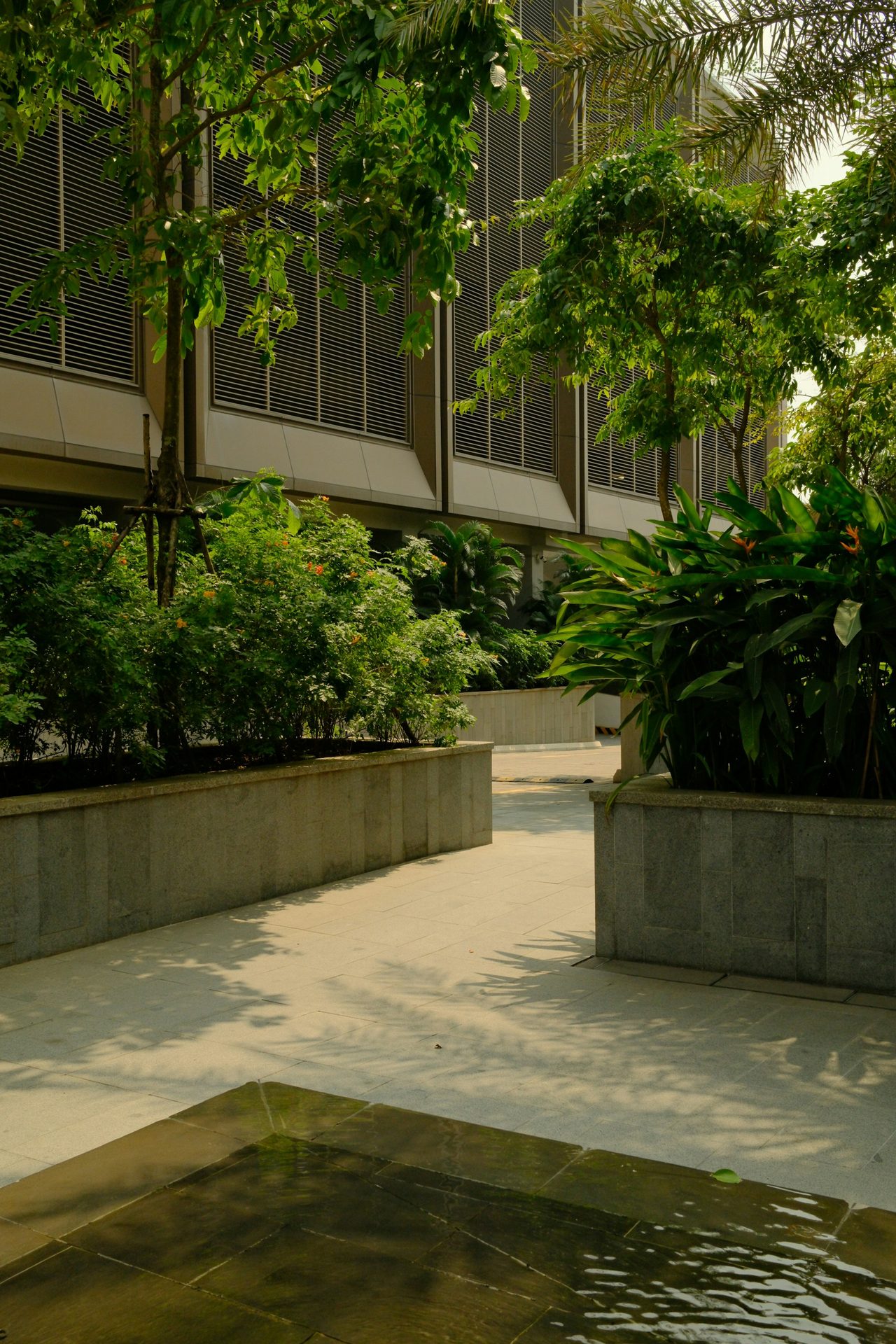 Trusted commercial landscaping company Dallas