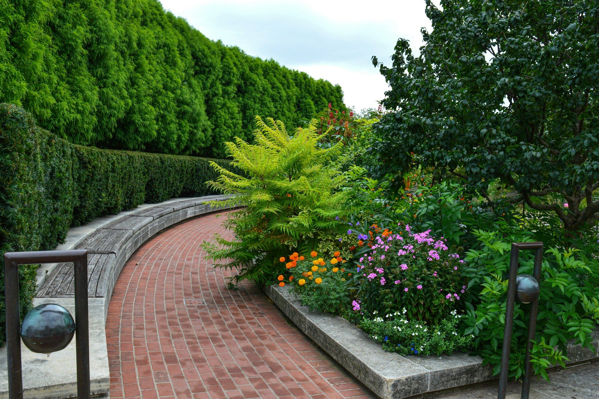 Beautiful commercial plants Dallas
