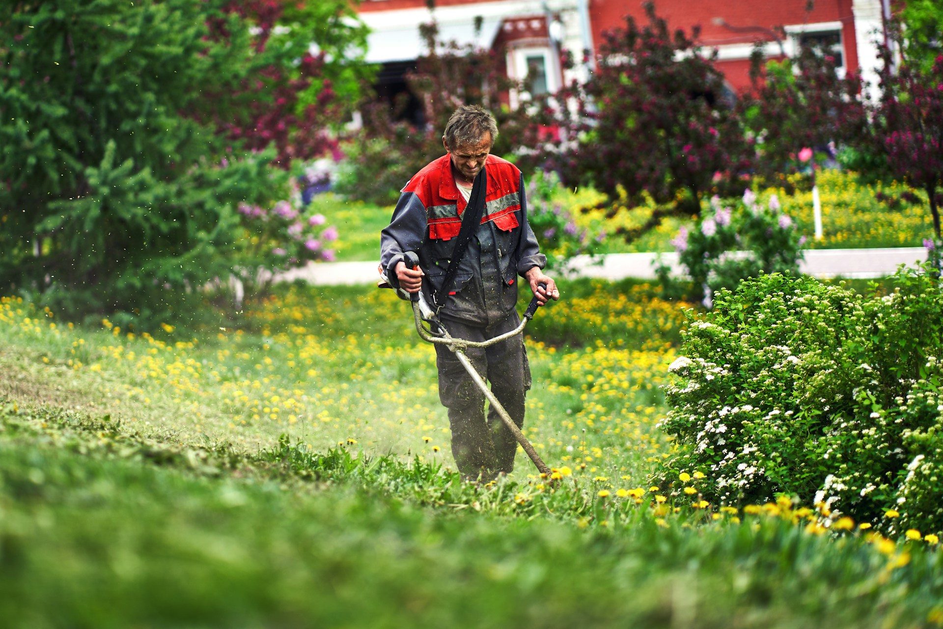 Commercial Fertilization Services