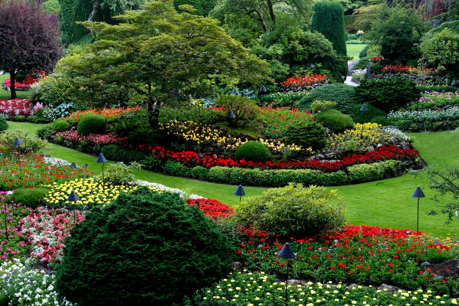Commercial Landscape Design