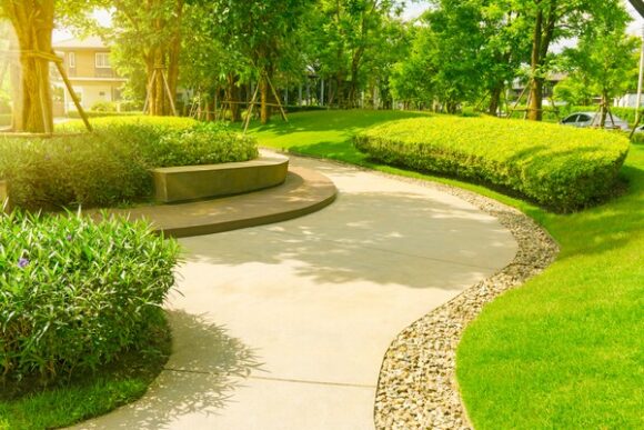 Office Park Tree Rows, Fort Worth TX
