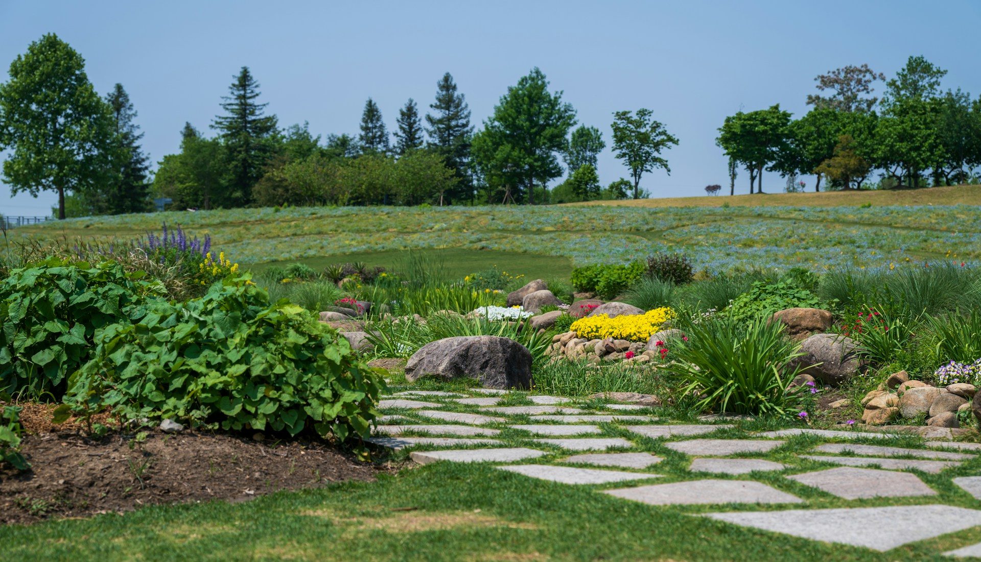 Contact Landscape Professionals of Texas
