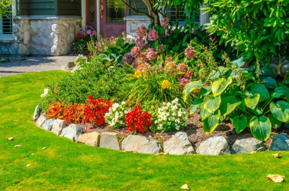 Irrigation-Optimized Slope, Allen TX