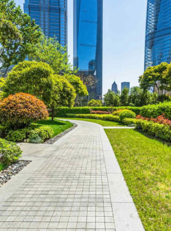 Maintenance commercial landscape by LPT Inc