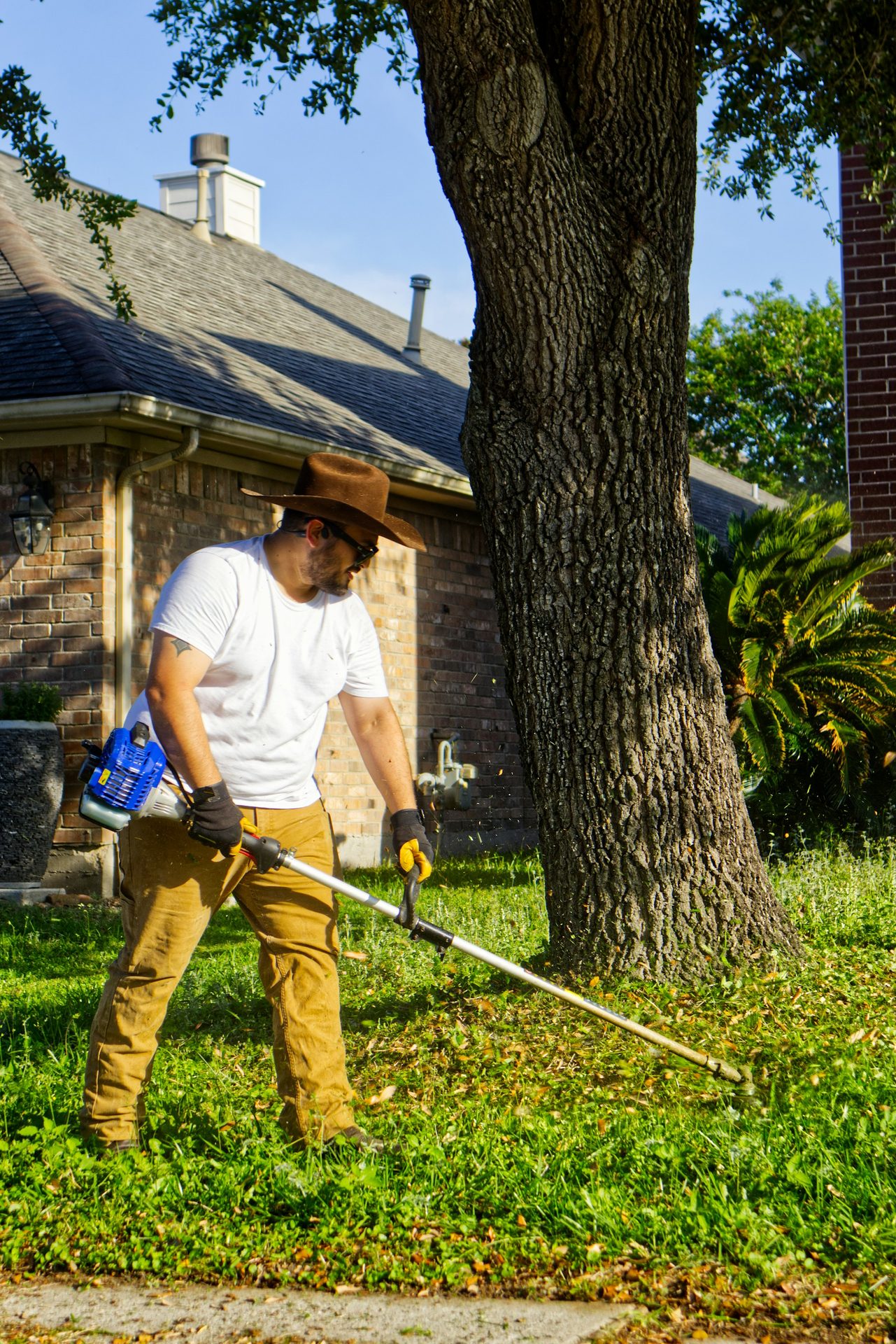 Make an impression with your lawn