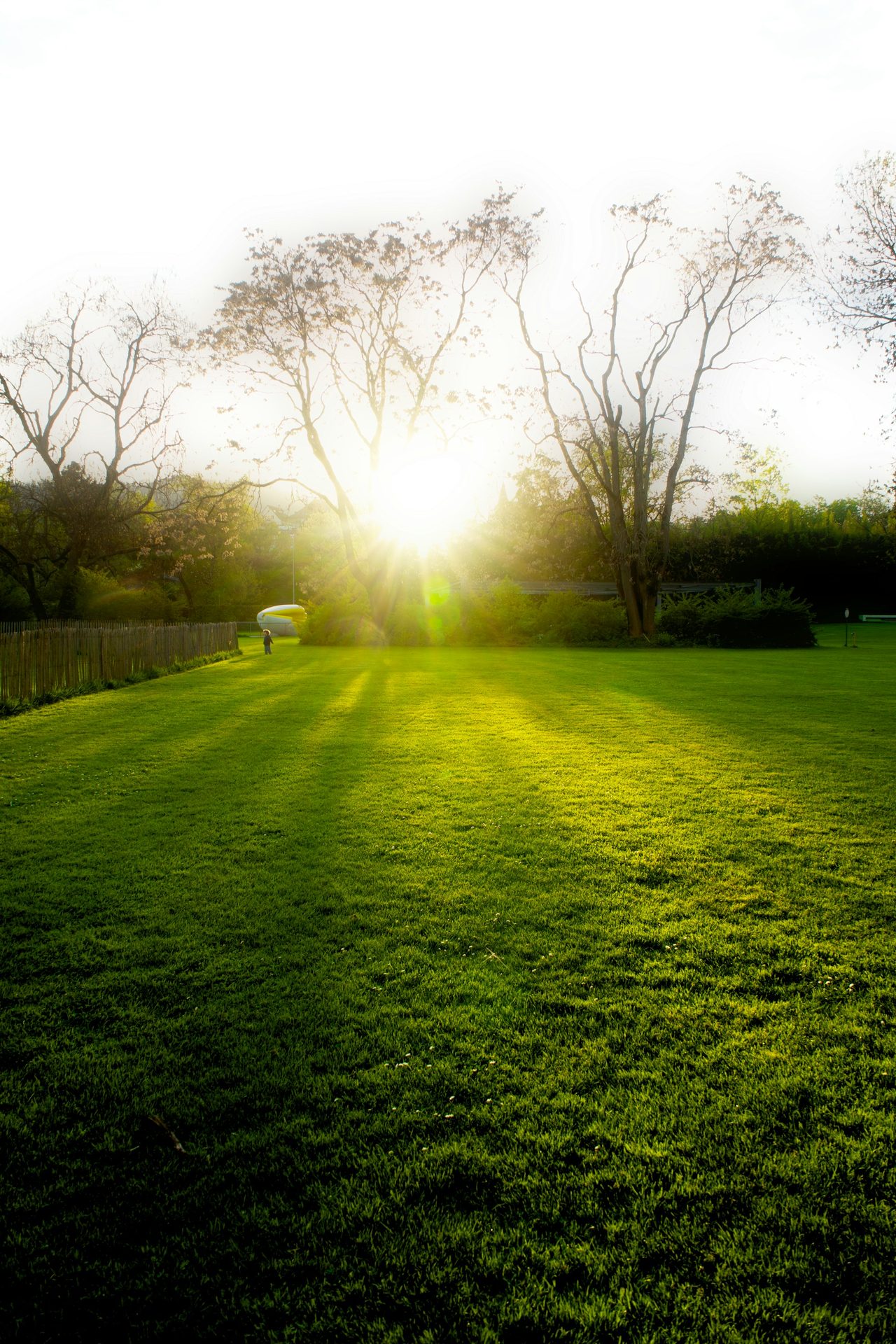 Beautiful commercial landscape DFW