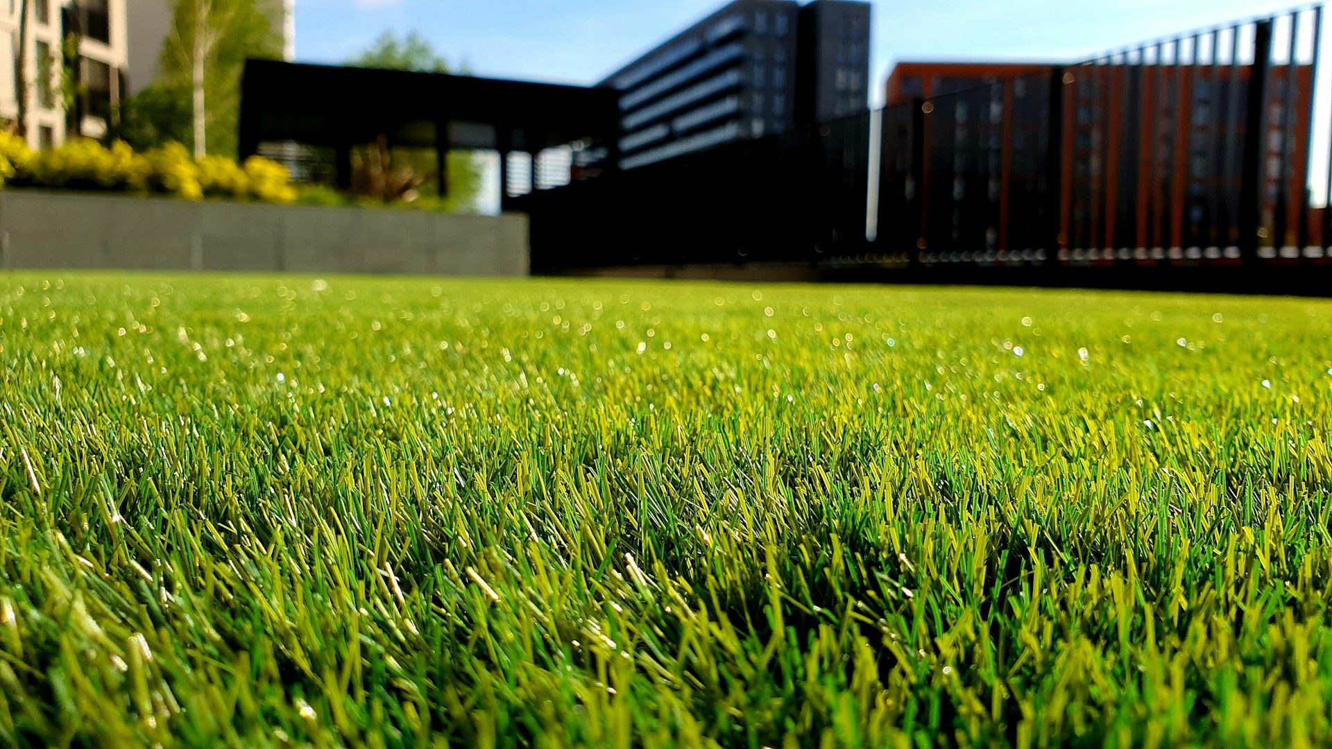 Lush commercial lawn care