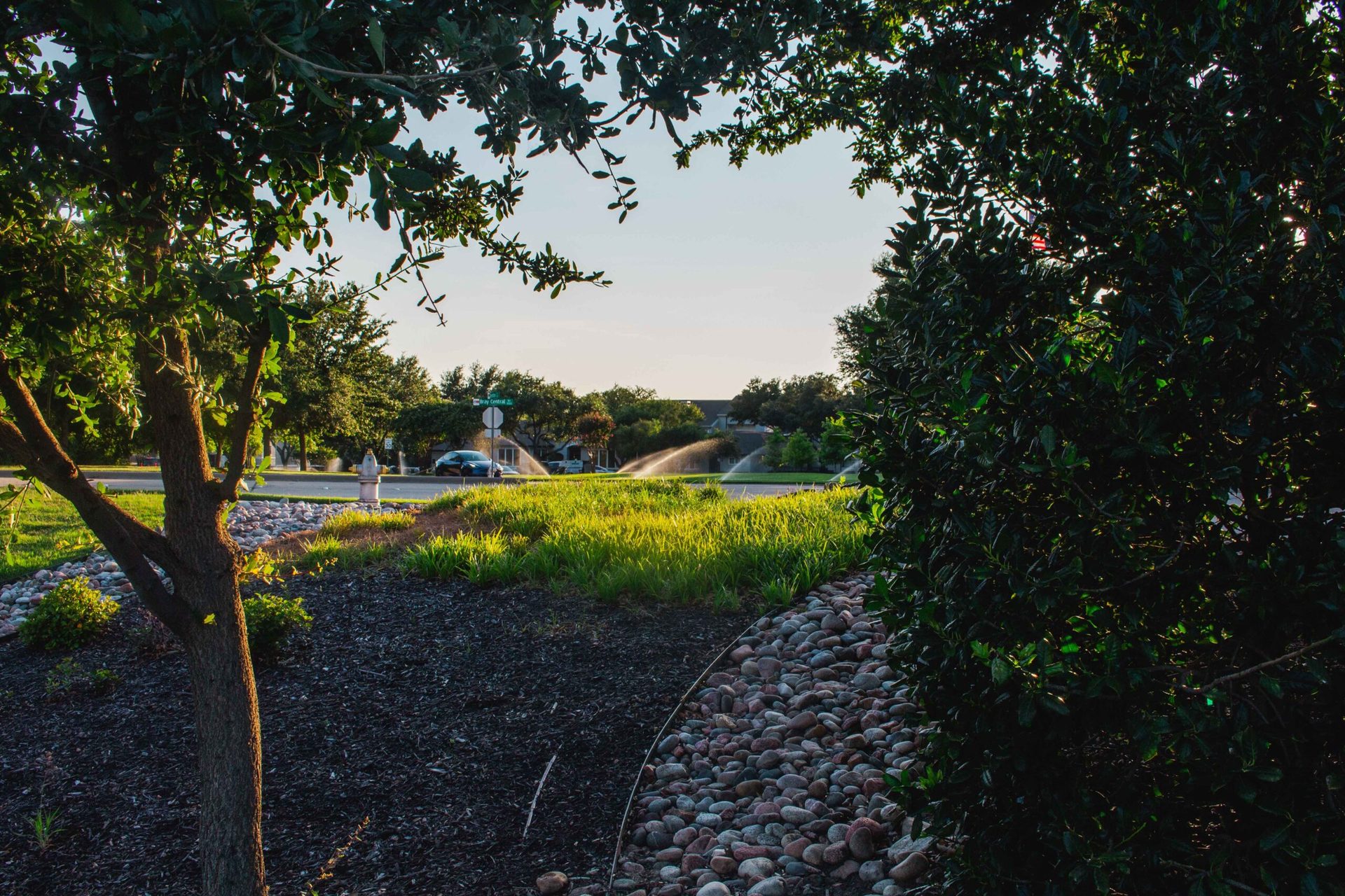 Landscaping Services: Landscape Professionals of Texas