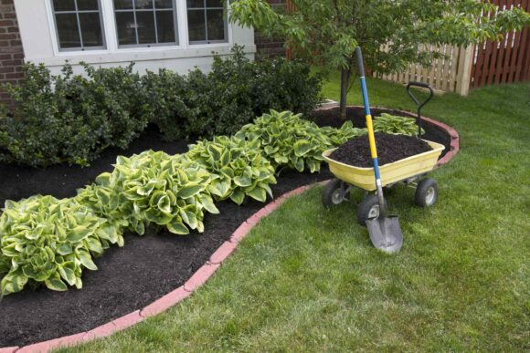 Flowerbed Planting & Mulching