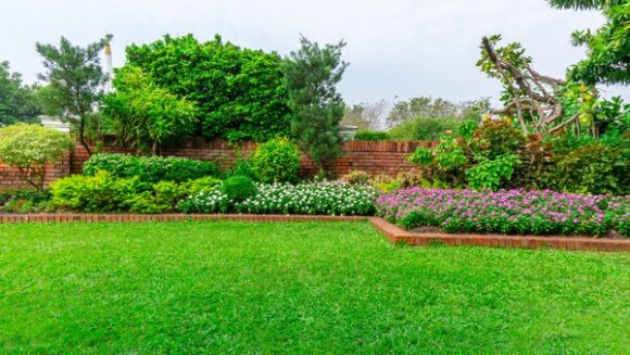 Tulip Bed Installation: Spring Color