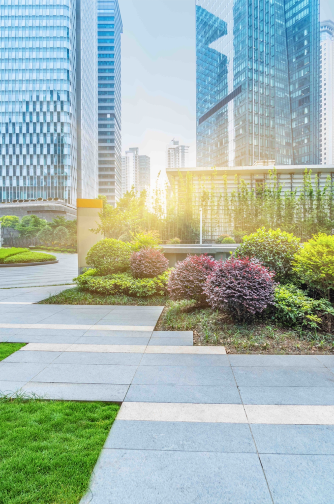 Commercial Landscaping Company In, Commercial Landscaping Dallas