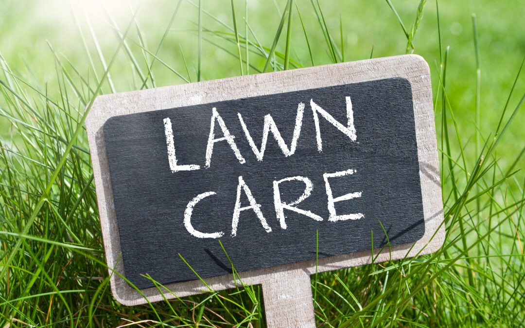 4 Reasons Your Commercial Property Needs Pre-Season Lawn Maintenance – Dallas, TX