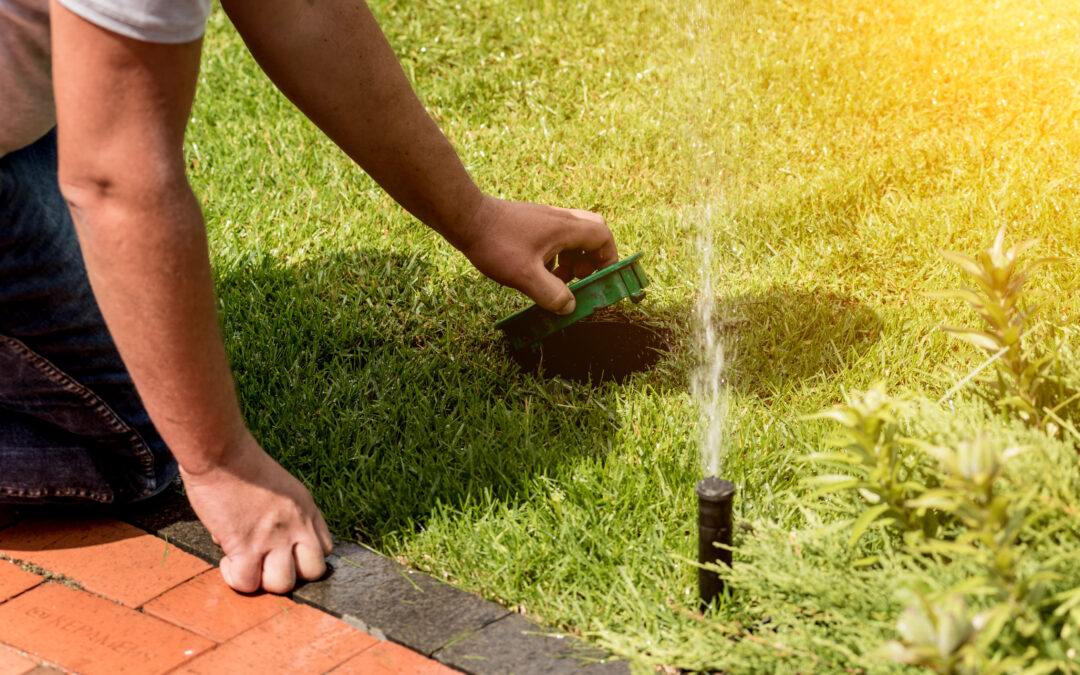 How to Take Care of Your Sprinklers