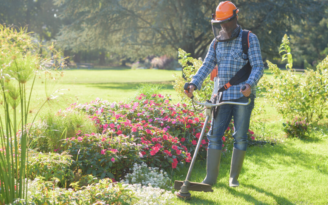 Hiring Lawn Care – Maintenance Company