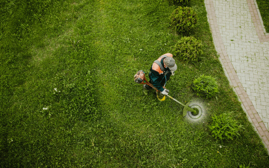The Benefits of Professional Lawn Care