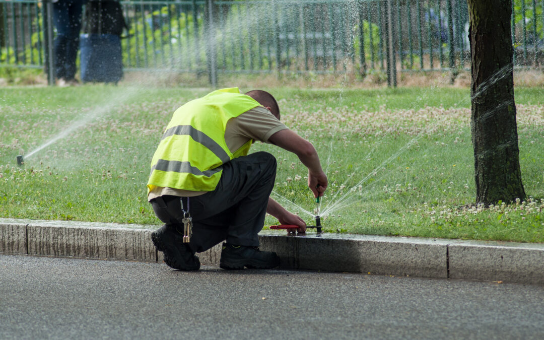 Avoid Common Mistakes: Expert Advice On Sprinkler Installation Services In Texas